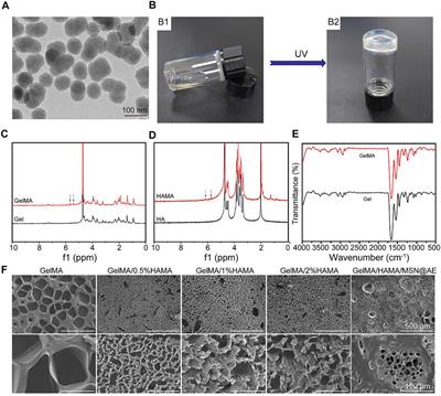 A Composite Hydrogel Containing Mesoporous Silica Nanoparticles Loaded With Artemisia argyi Extract for Improving Chronic Wound Healing